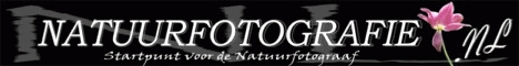 Linkpage for the nature photographer